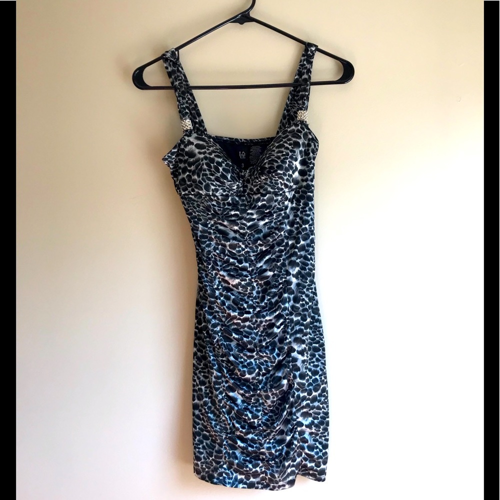 Animal Print Dress